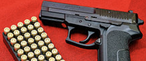 Brandon Announces Federal Red Flag Law Gun Control Operation